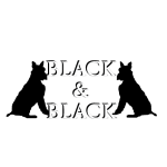 BLACK & BLACK
