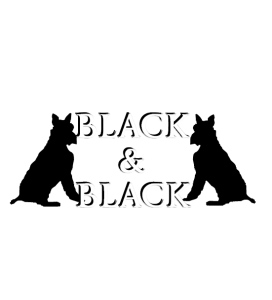 BLACK & BLACK